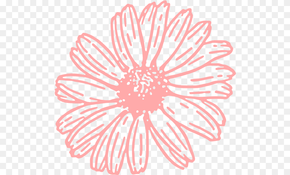 Pink Flower Outline Pink Flower Outline, Anther, Daisy, Plant, Dahlia Png