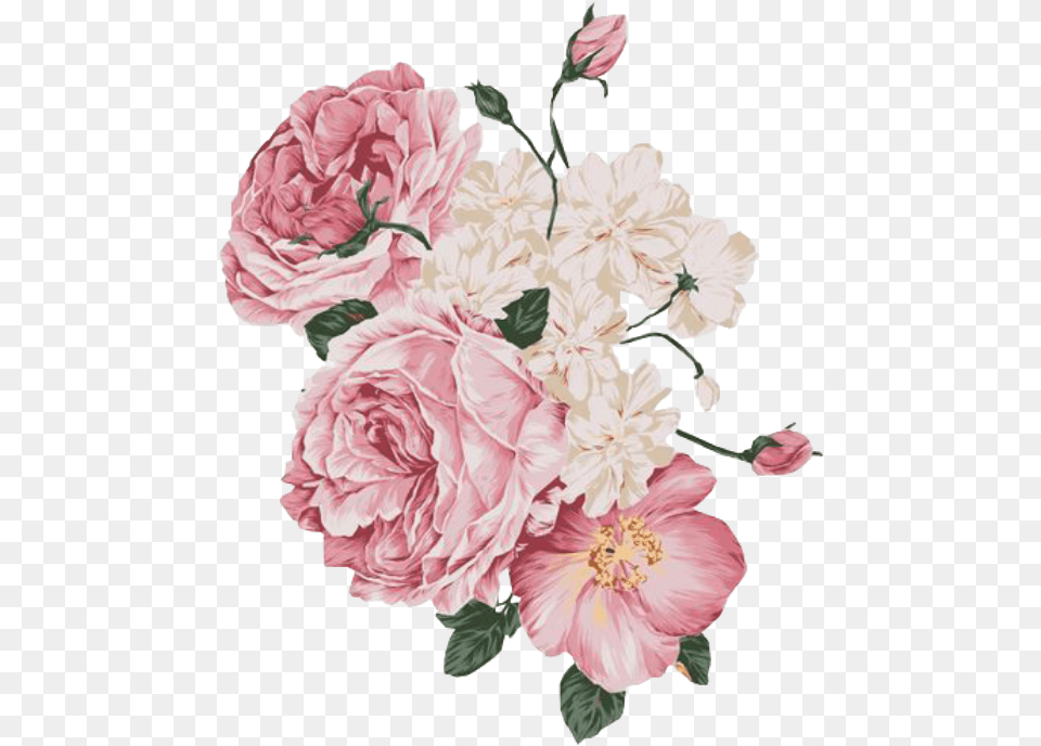 Pink Flower Overlay, Plant, Carnation, Rose, Art Png Image