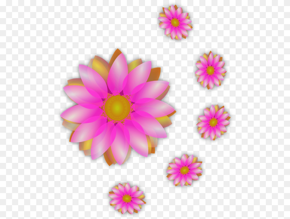Pink Flower Petal Clipart Clip Art, Dahlia, Daisy, Plant, Anemone Png