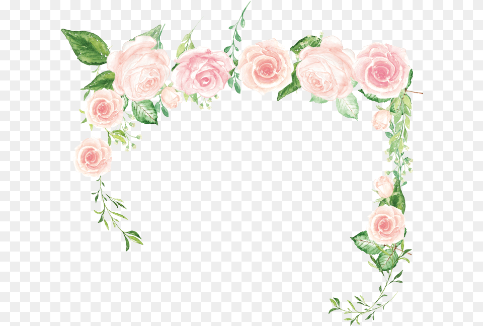 Pink Flower Rose Green Hybrid Tea Rose, Plant, Art, Floral Design, Graphics Png Image