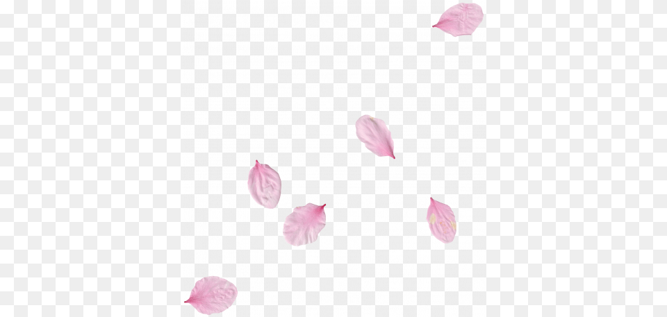 Pink Flower Scatter 01 Graphic By Gina Jones Pixel Girly, Petal, Plant Free Png Download