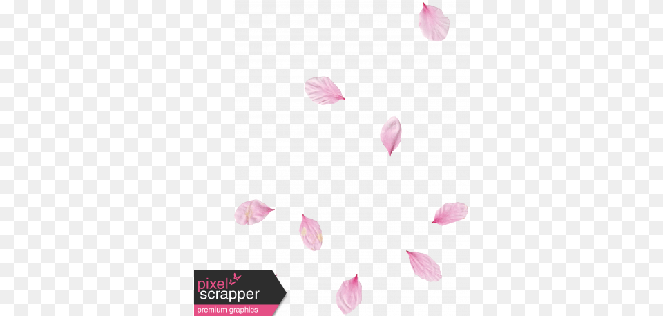 Pink Flower Scatter 02 Graphic By Gina Jones Pixel Heart, Petal, Plant, Astronomy, Moon Free Transparent Png