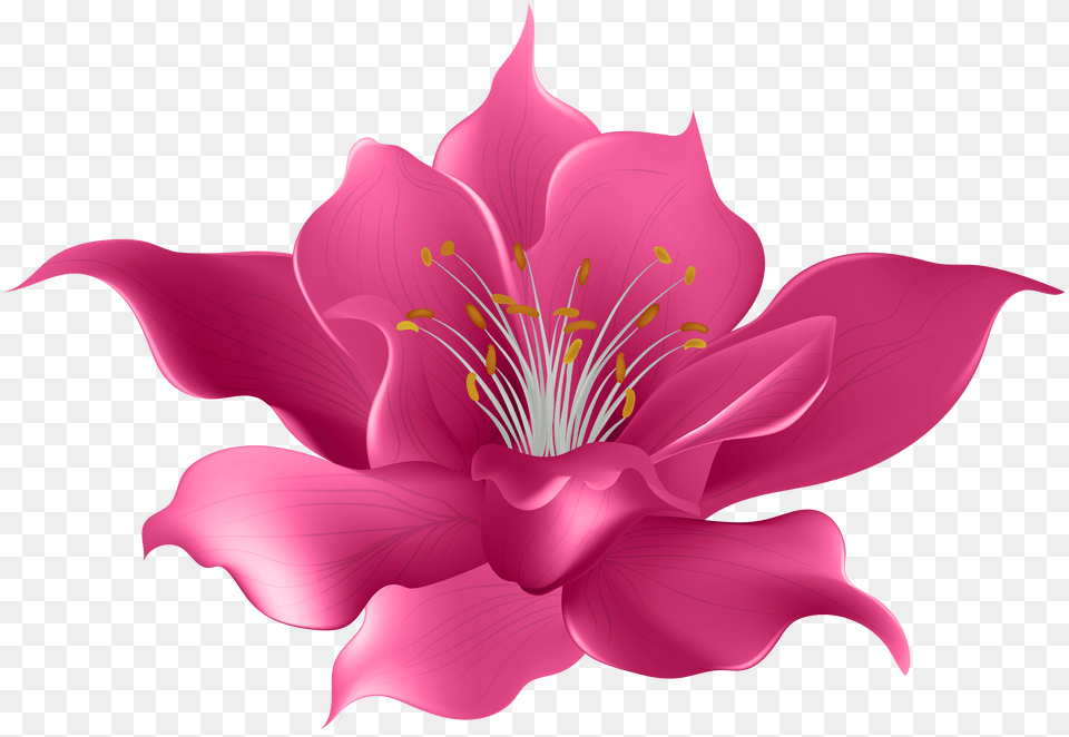 Pink Flower Transparent Clip Art Free Png