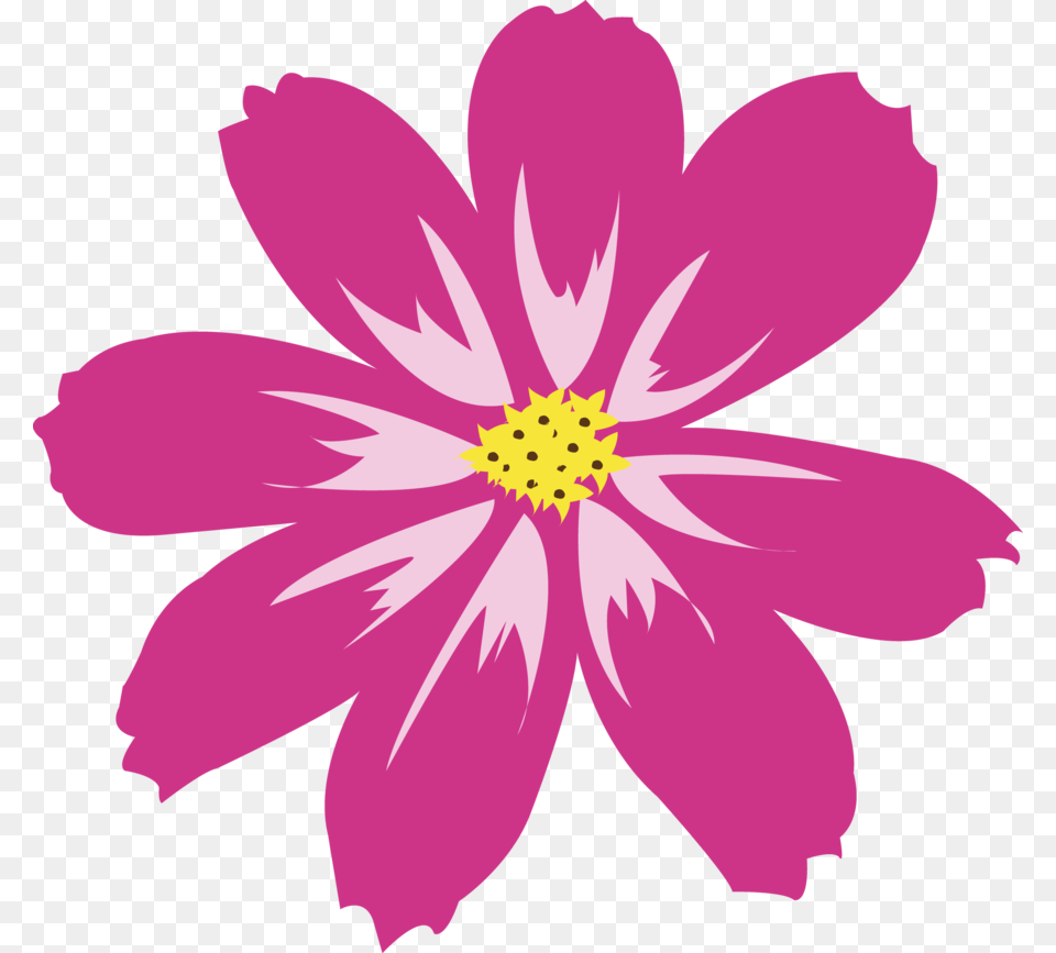 Pink Flower Vector Vector Free Pink Flower Vector, Anther, Dahlia, Daisy, Petal Png Image