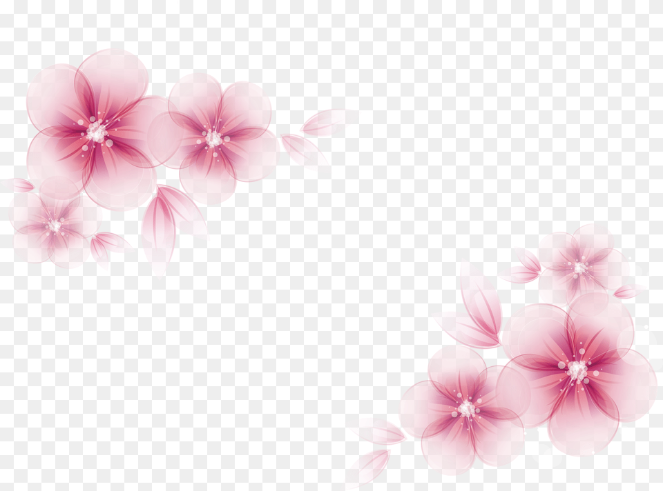 Pink Flower Vector Vector Transparent Flower Pink Pink Flower Border, Geranium, Petal, Plant, Cherry Blossom Png