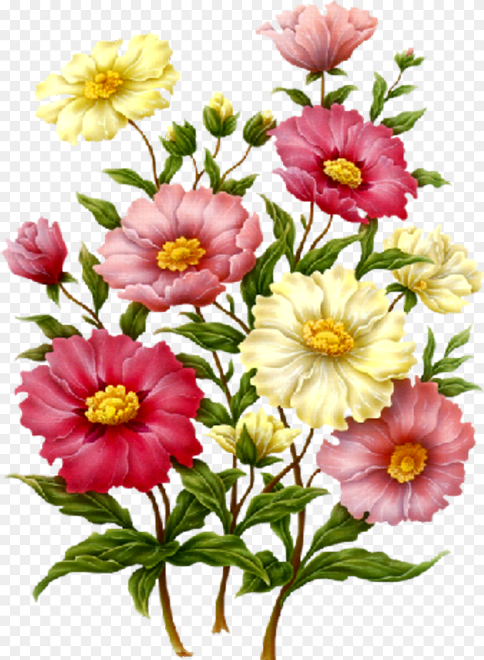 Pink Flower Vine Decoupage Flower, Anemone, Plant, Petal, Flower Arrangement Free Png Download