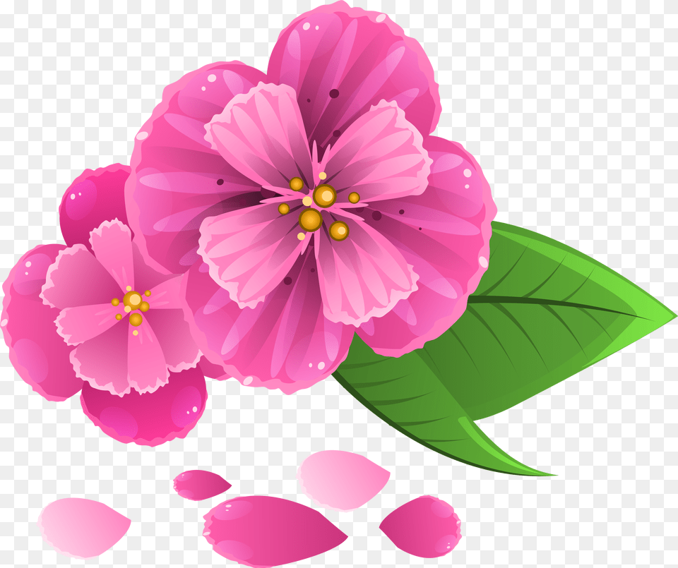Pink Flower With Petals Clipart Image Flower And Petals, Geranium, Petal, Plant, Anemone Free Transparent Png