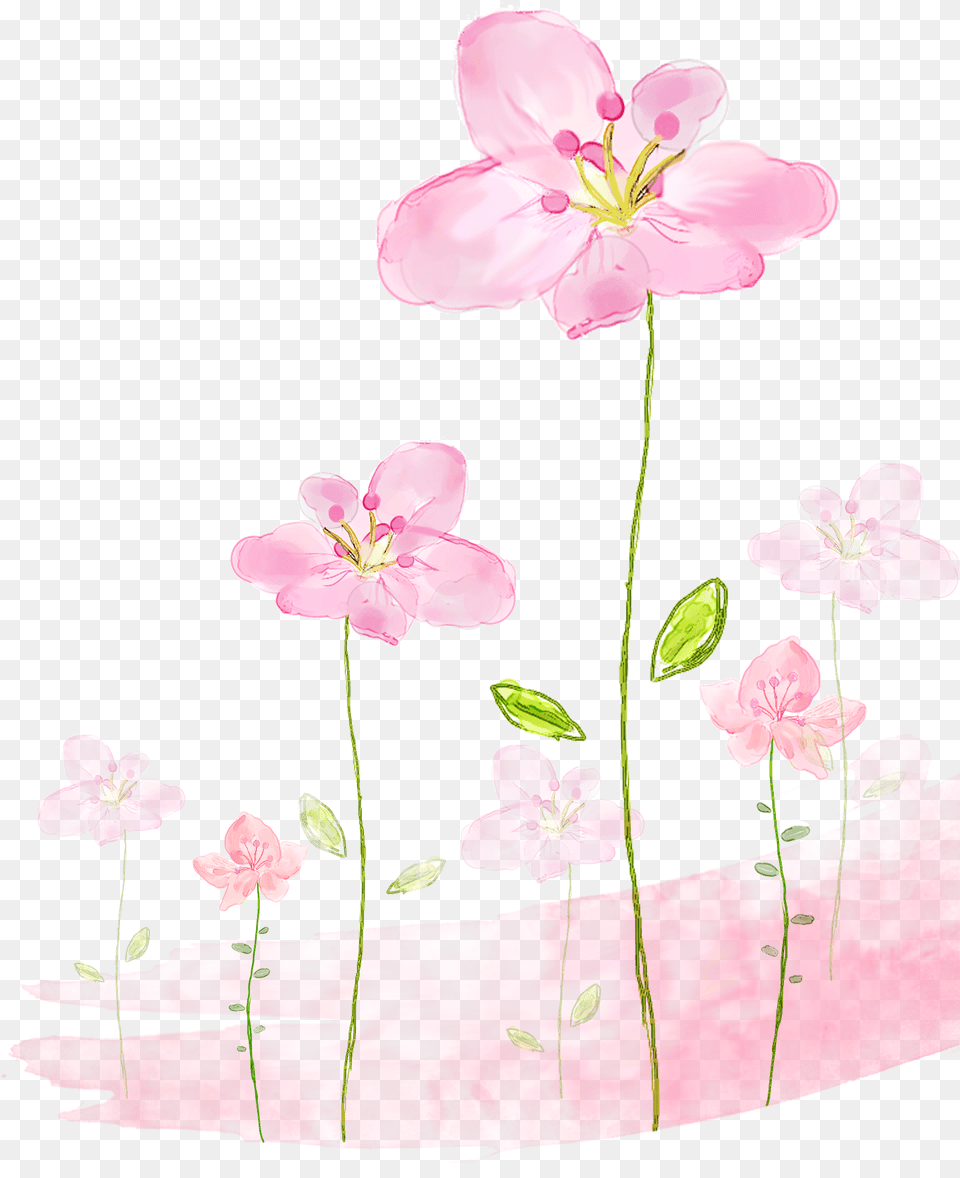 Pink Flowers Background Flower Background Mint, Anther, Geranium, Petal, Plant Free Png Download