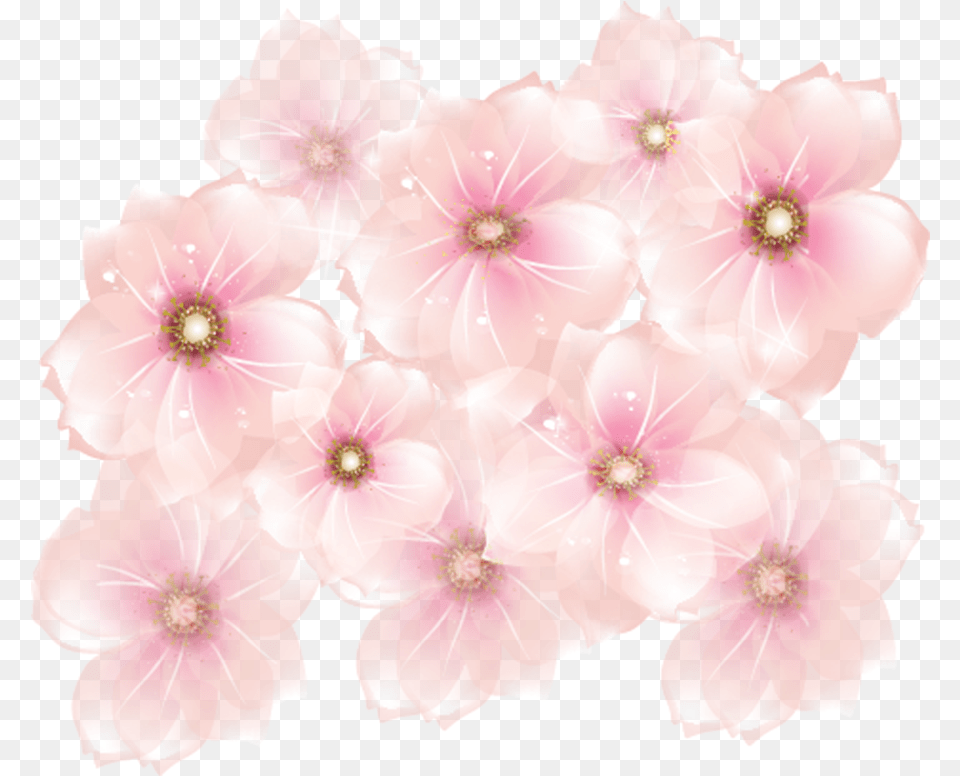 Pink Flowers Background Pink Flower, Plant, Petal, Anemone, Geranium Png Image