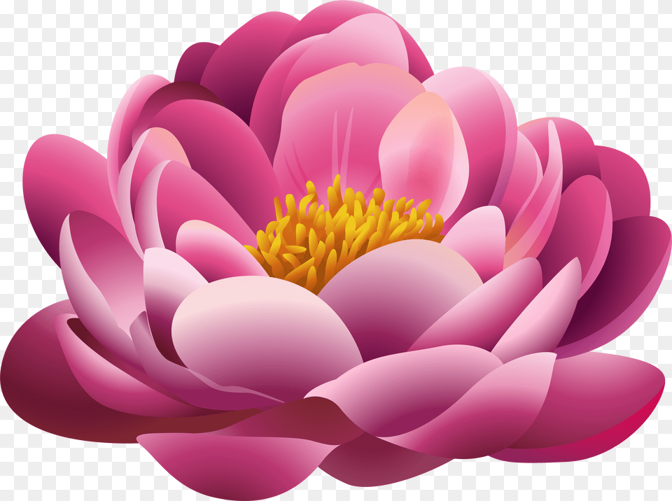Pink Flowers Clip Art Pretty Flower Flower Clipart, Plant, Petal, Dahlia, Anther Png