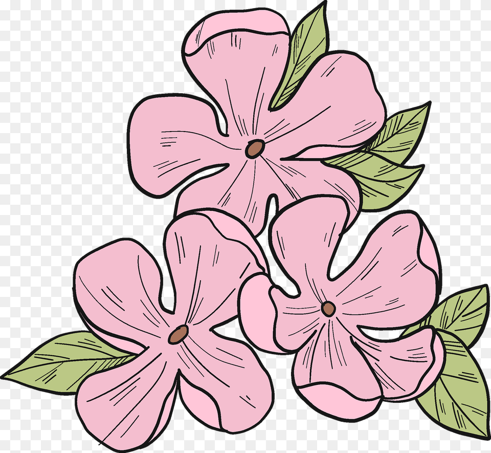Pink Flowers Clipart, Flower, Geranium, Plant, Petal Free Png