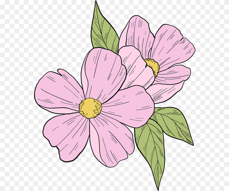 Pink Flowers Clipart Download Transparent Creazilla Flowers Clipart, Anemone, Flower, Plant, Person Free Png