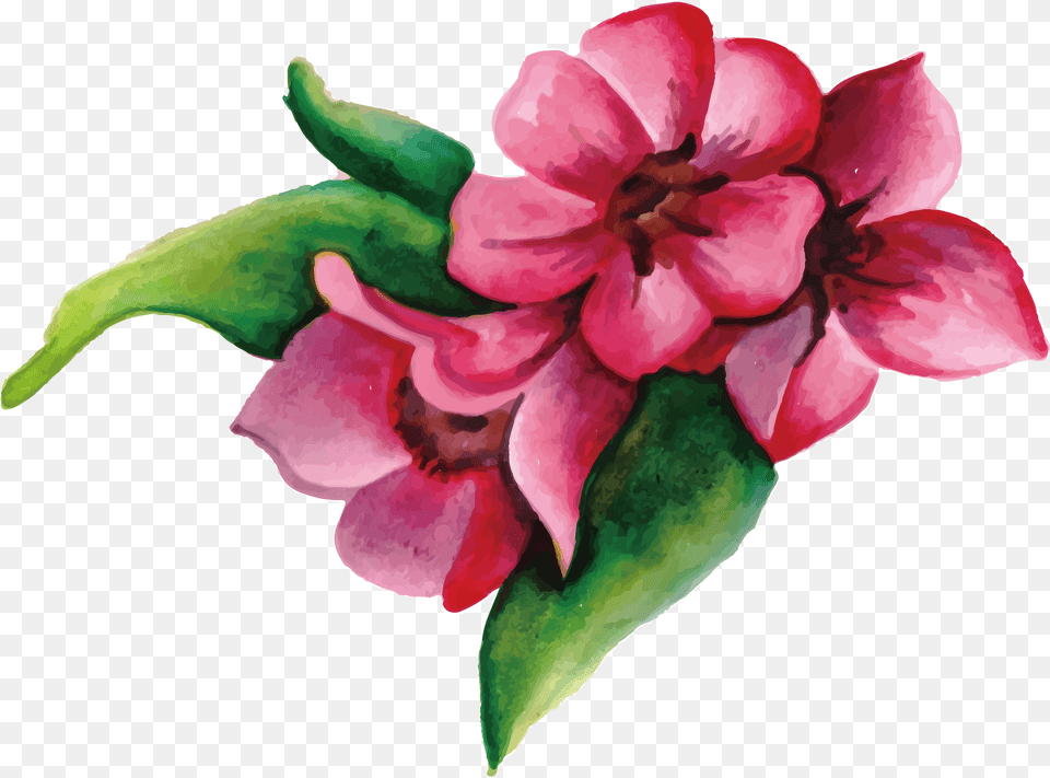 Pink Flowers Download Painted, Flower, Geranium, Petal, Plant Png Image