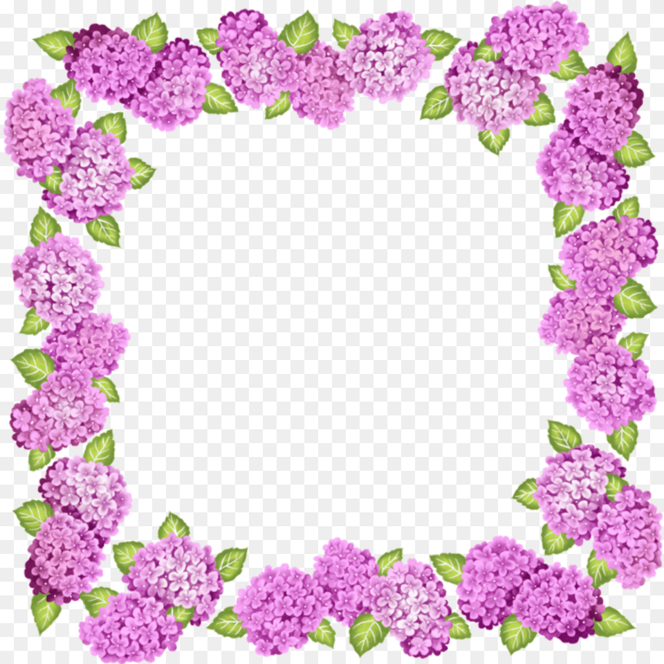 Pink Flowers Flower Frame Frames Border Borders Frame Border For Flower, Plant, Flower Arrangement, Dahlia, Carnation Free Png