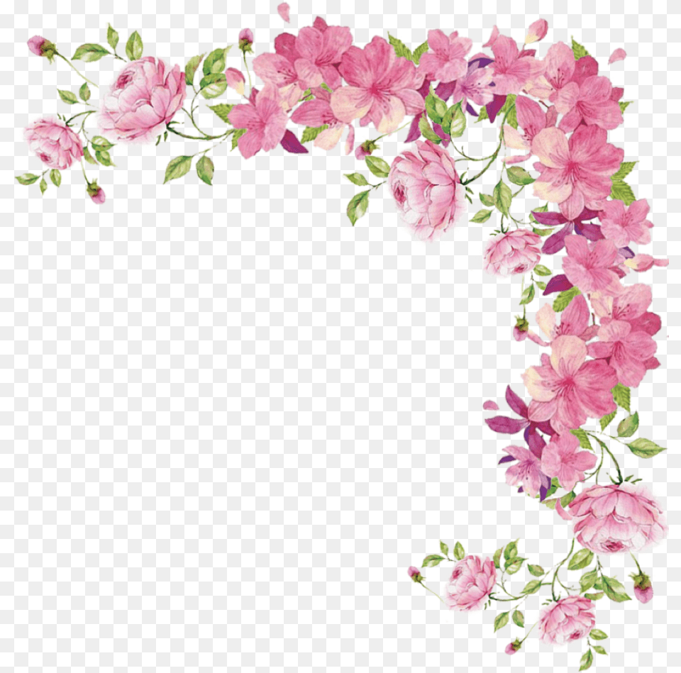 Pink Flowers Hd Pink Flower Border, Plant, Art, Floral Design, Graphics Free Transparent Png