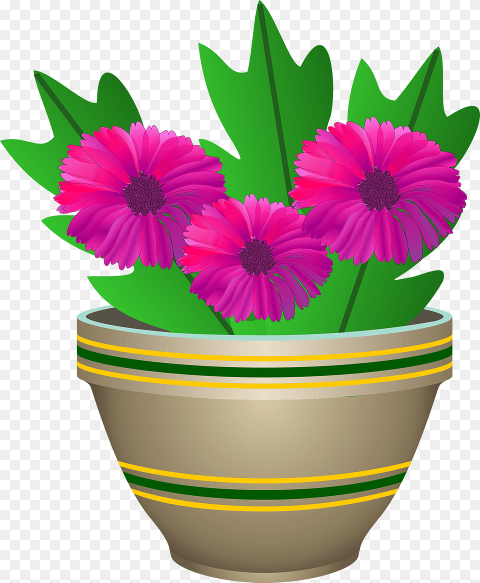Pink Flowers In A Striped Pot Clipart, Daisy, Flower, Plant, Potted Plant Free Png Download