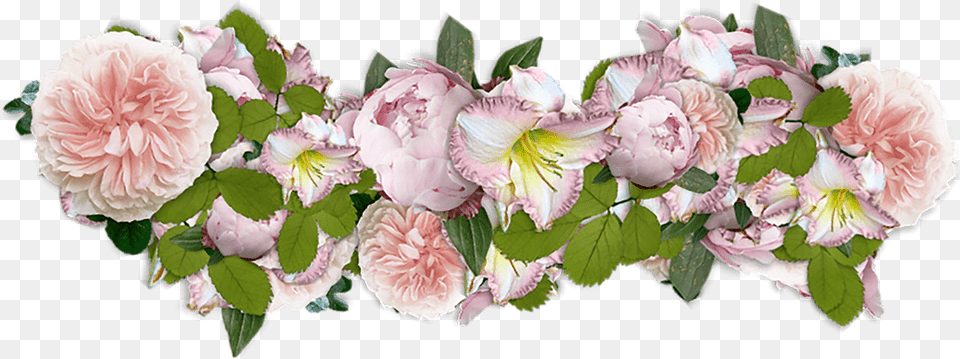 Pink Flowers Presentation Best 365 Days Inspiration Quotes Daily Motivation, Flower, Flower Arrangement, Flower Bouquet, Plant Png