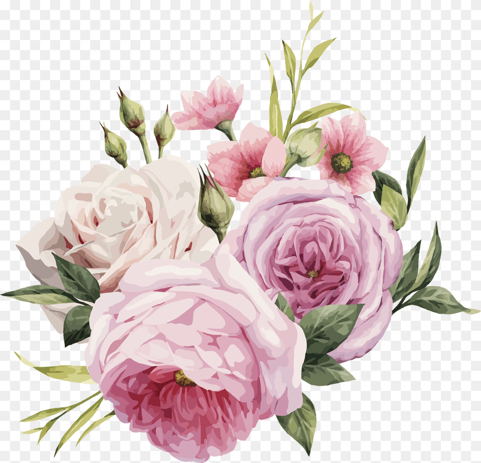 Pink Flowers Rose Color Vector Pink Rose, Plant, Flower, Flower Arrangement, Flower Bouquet Free Png Download