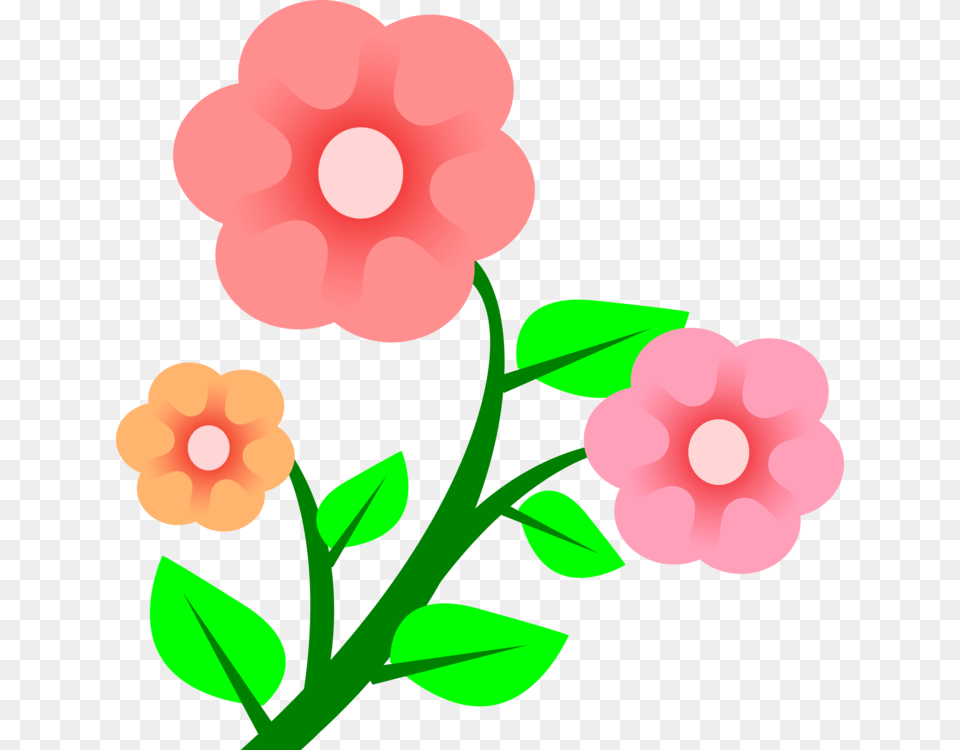 Pink Flowers Rose Pink Flowers Floral Design, Anemone, Flower, Petal, Plant Free Png