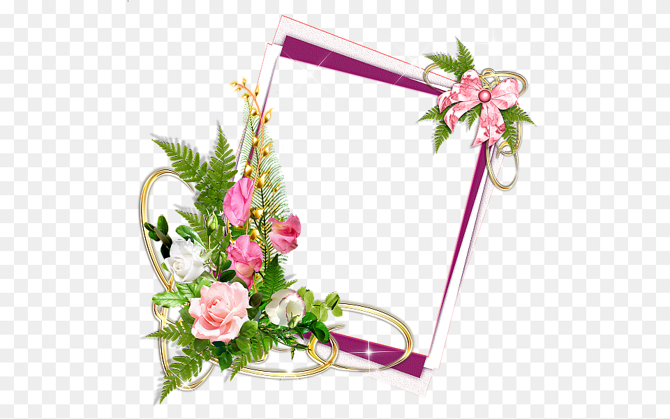 Pink Frame With Withite Roses Flower Photo Frame, Flower Arrangement, Flower Bouquet, Plant, Rose Free Transparent Png