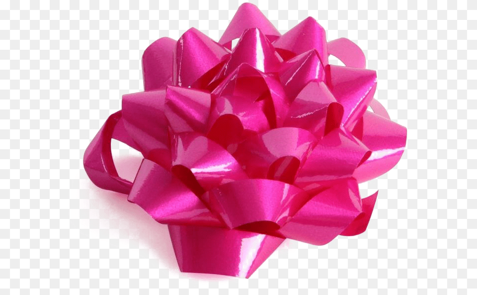 Pink Gift Bow, Flower, Paper, Plant, Rose Png