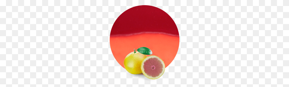 Pink Grapefruit Concentrate, Citrus Fruit, Food, Fruit, Plant Png Image