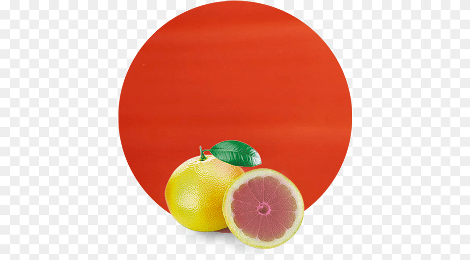 Pink Grapefruit Juice Nfc Gibeau Orange Julep, Citrus Fruit, Food, Fruit, Plant Png Image