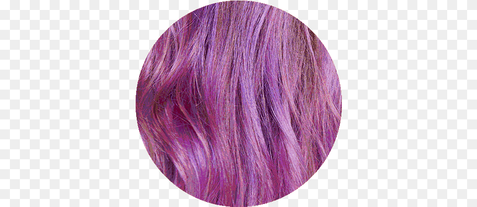Pink Hair Dye Drops Lace Wig, Purple, Photography, Adult, Female Free Png