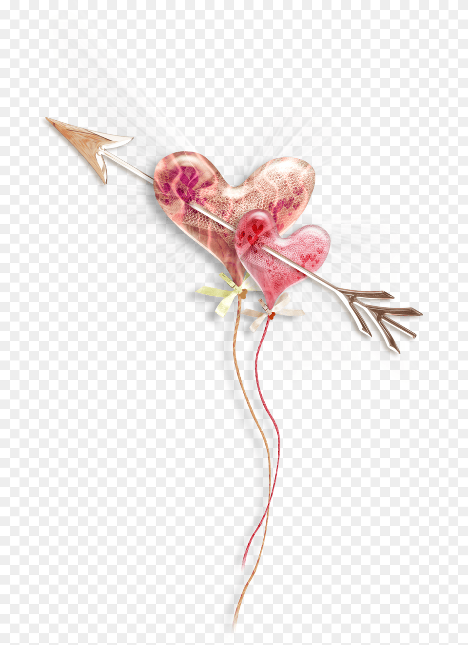 Pink Heart Photography Drawing Photo Heart, Flower, Plant Free Png