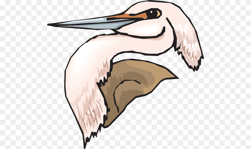Pink Heron Head Clip Art, Animal, Beak, Bird, Waterfowl Free Png Download