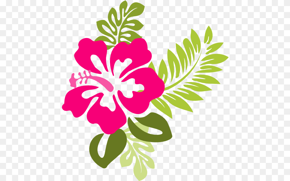 Pink Hibiscus Border U0026 Clipart Download Pink Hibiscus Clipart, Flower, Plant, Art, Floral Design Free Transparent Png