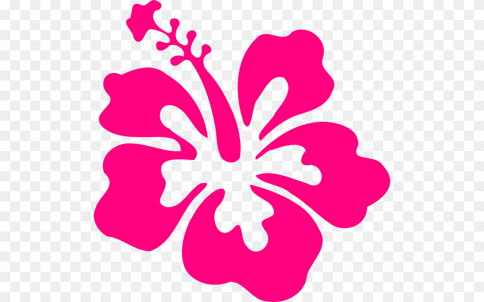 Pink Hibiscus Flower Clip Art, Plant, Dynamite, Weapon Free Transparent Png