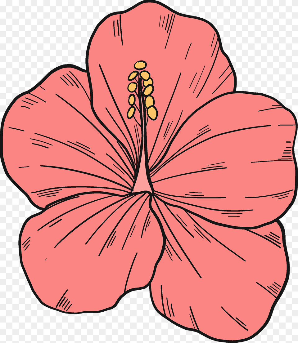 Pink Hibiscus Flower Clipart, Plant, Person, Face, Head Free Png Download