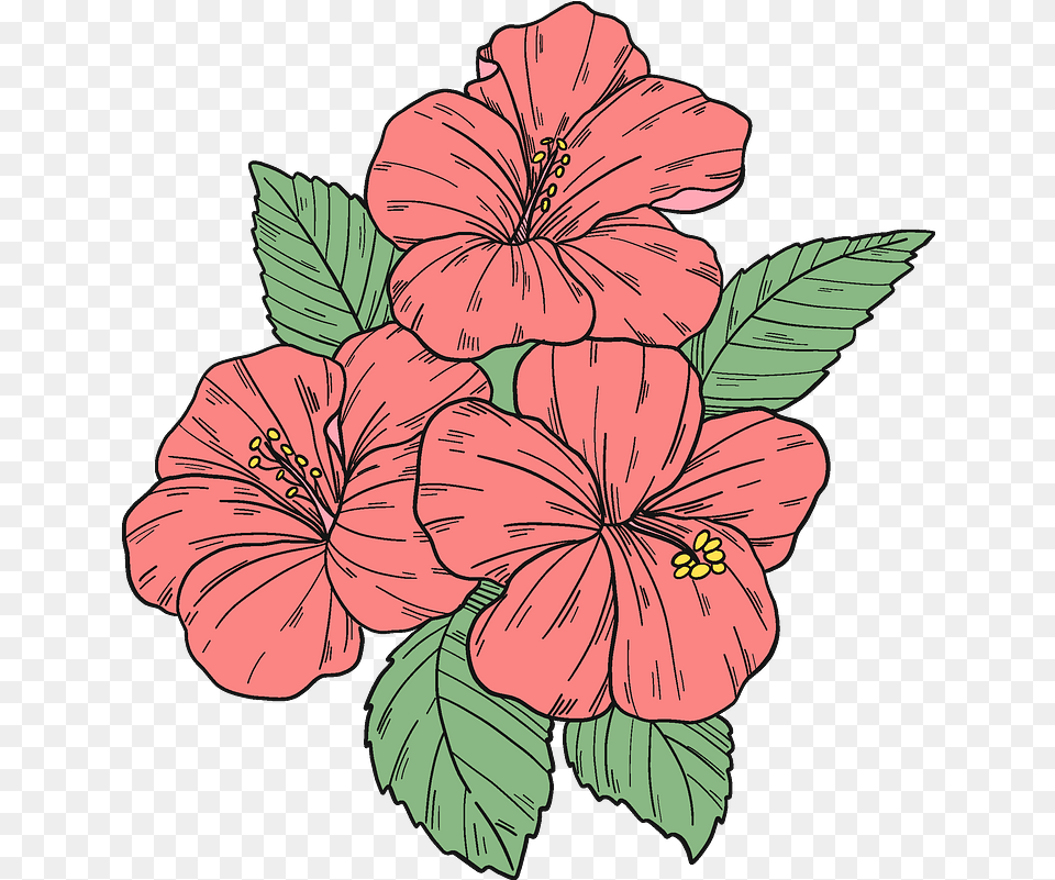 Pink Hibiscus Flowers Clipart Hibiscus Flower Clipart, Plant, Baby, Person Free Transparent Png