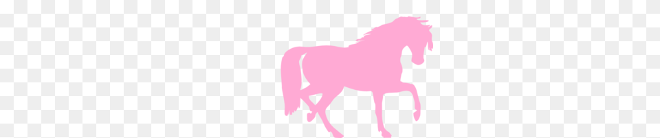 Pink Horse Silhouette Clipart, Animal, Colt Horse, Mammal, Baby Png Image
