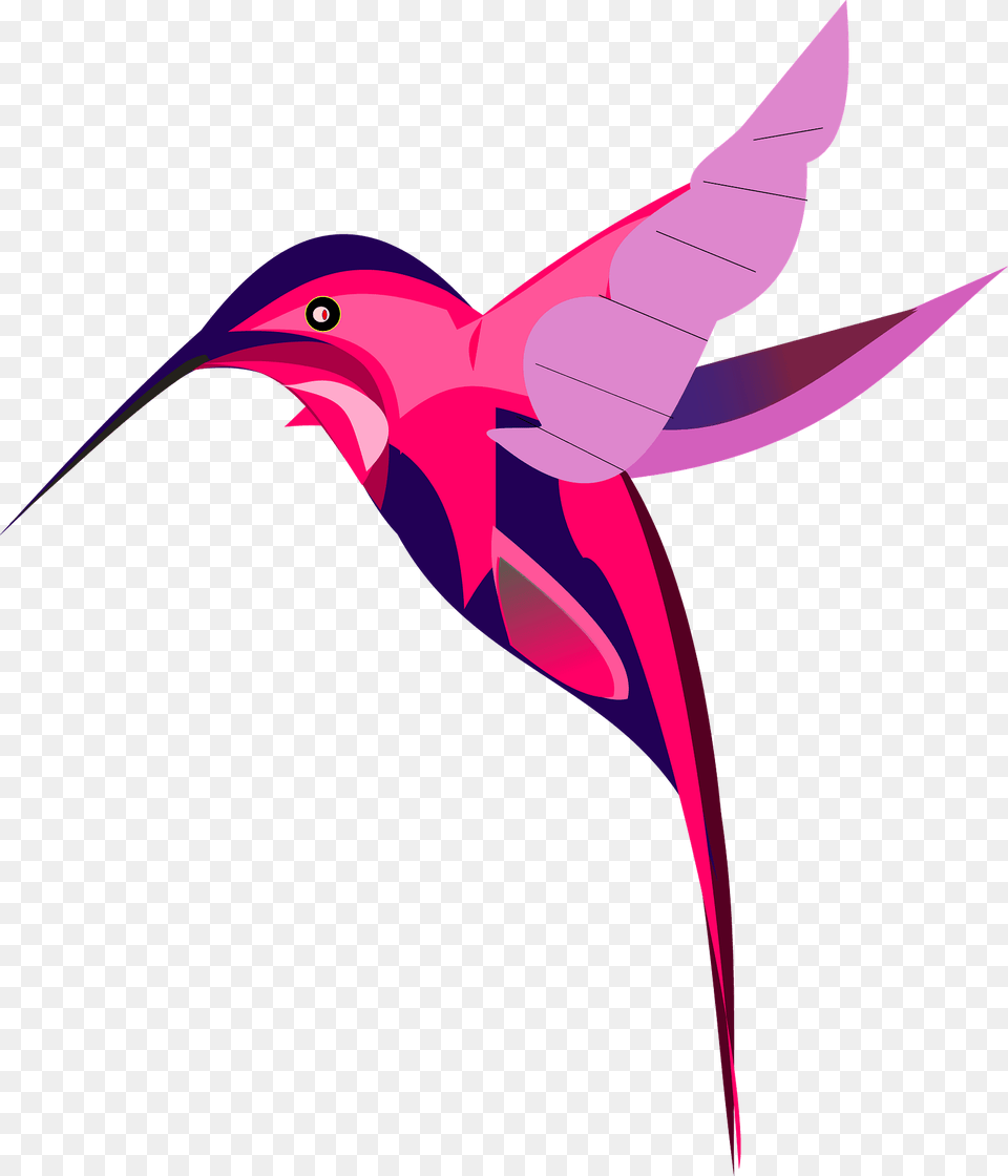 Pink Hummingbird Clipart, Animal, Bird, Fish, Sea Life Free Png Download