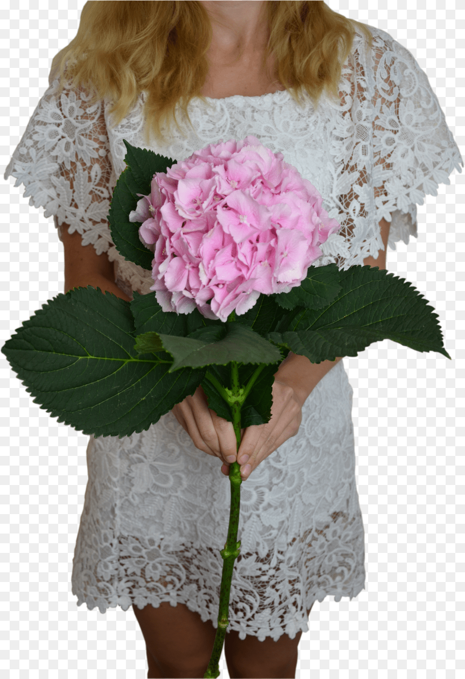 Pink Hydrangea Flower Shop Studio Flores Bouquet, Flower Arrangement, Flower Bouquet, Plant, Adult Free Transparent Png