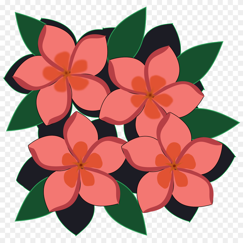 Pink Impatiens Flowers Clipart, Art, Floral Design, Graphics, Pattern Png Image