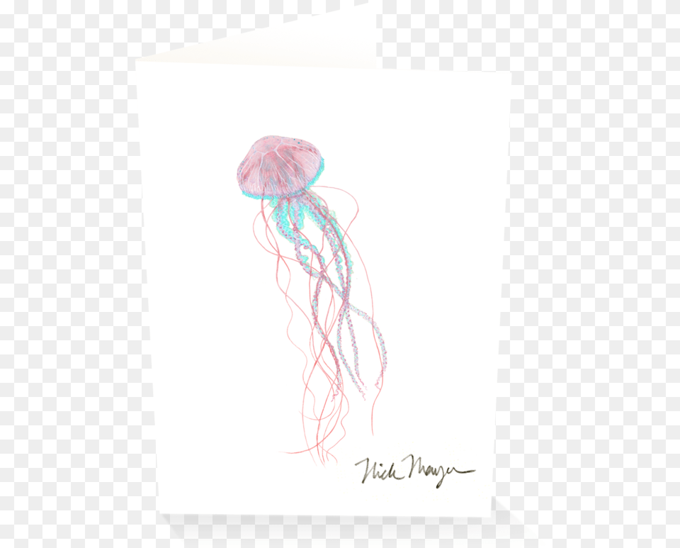 Pink Jellyfish Sketch, Animal, Sea Life, Invertebrate, Adult Free Png