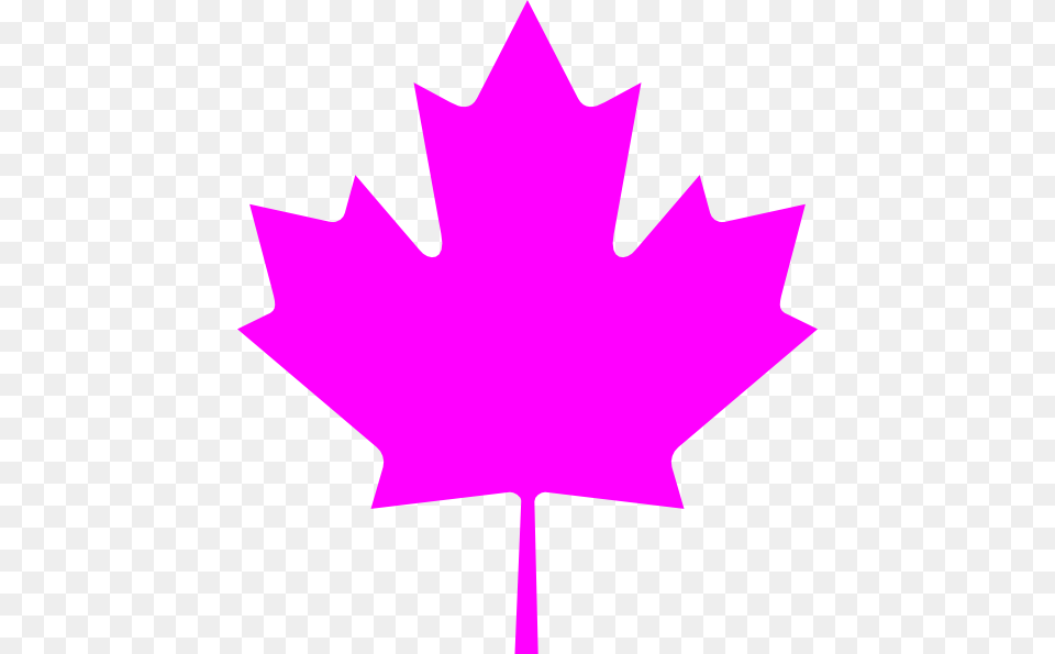 Pink Leaf Canada Flag, Maple Leaf, Plant Png