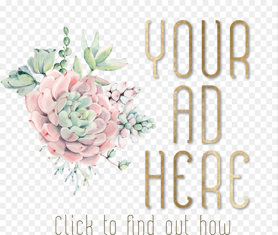 Pink Light White Mexican Rose, Art, Graphics, Floral Design, Pattern Free Png Download