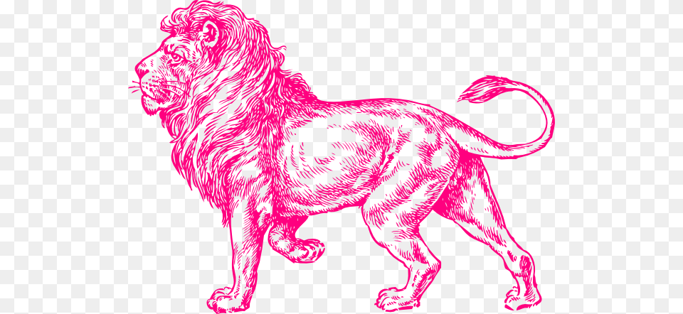Pink Lion Clip Art Full Body Lion Sketch, Animal, Mammal, Wildlife, Canine Free Png Download