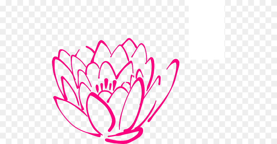 Pink Lotus Bud Clip Art, Dahlia, Flower, Petal, Plant Free Png Download