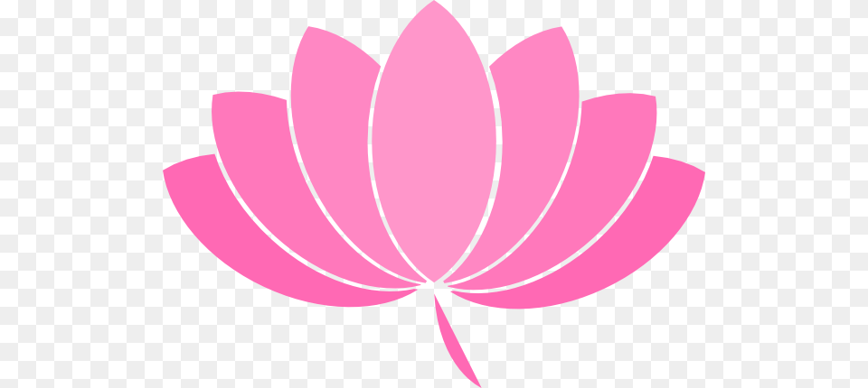 Pink Lotus Flower Clipart, Dahlia, Petal, Plant, Daisy Png Image