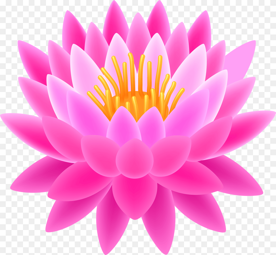 Pink Lotus Transparent Clip Art Image Lotus Flower Hd Free Png