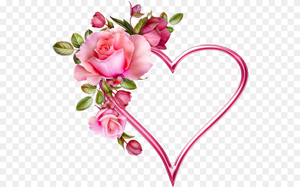 Pink Love Rose Flower, Flower Arrangement, Plant, Flower Bouquet Free Transparent Png