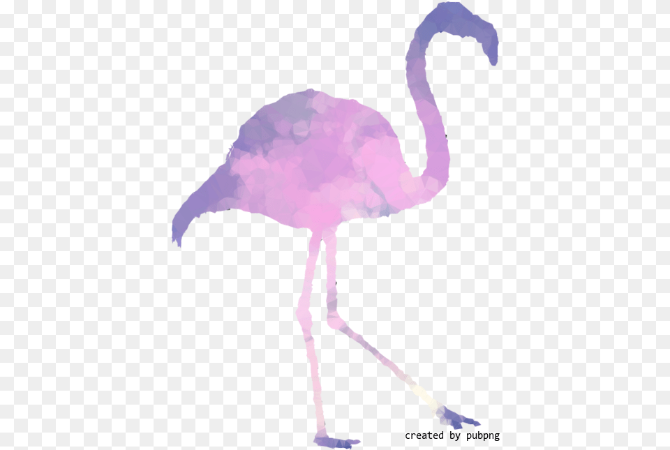 Pink M Beak Bird Low Poly Transparent Greater Flamingo, Animal, Person Png Image
