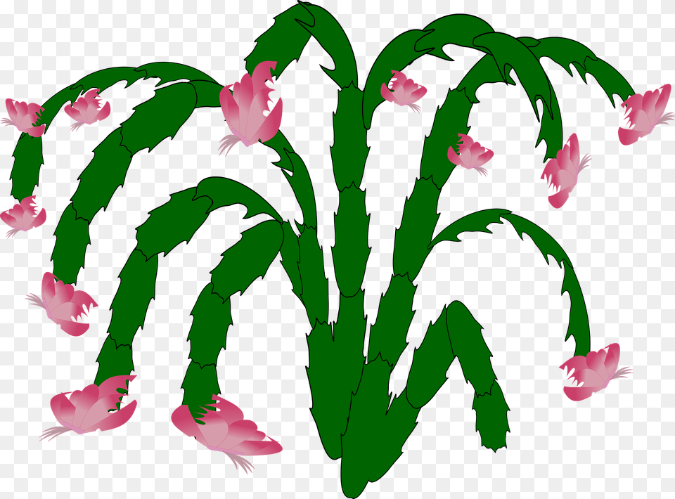 Pink May Flowers On The Stem Clipart, Cactus, Plant, Baby, Person Png