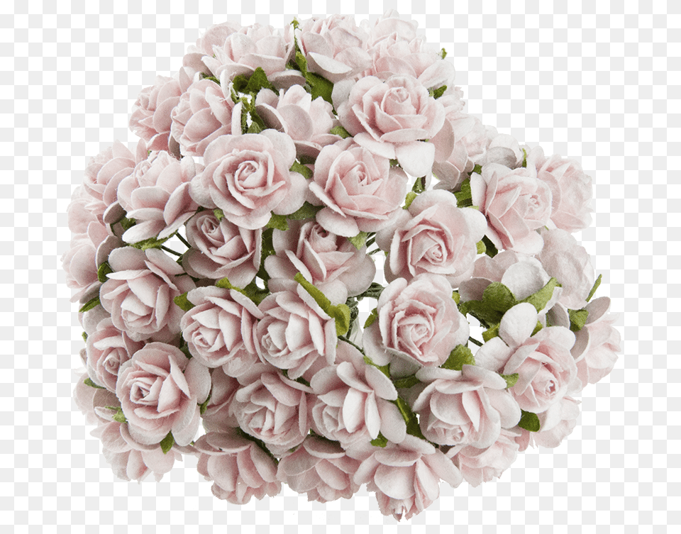 Pink Mist Mulberry Paper Open Roses Garden Roses, Flower, Flower Arrangement, Flower Bouquet, Plant Png