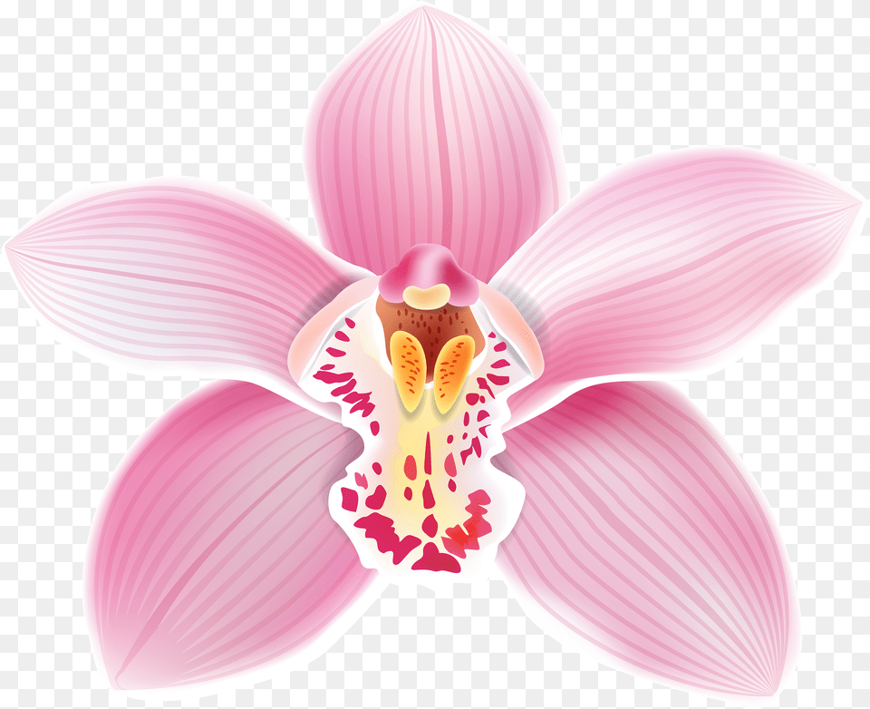 Pink Orchid Clipart Orchid Clipart, Flower, Plant, Petal, Appliance Free Png